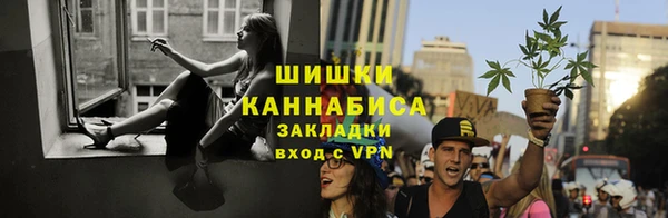 молекула духа Липки