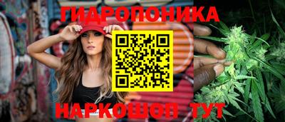 сатива Жуковский