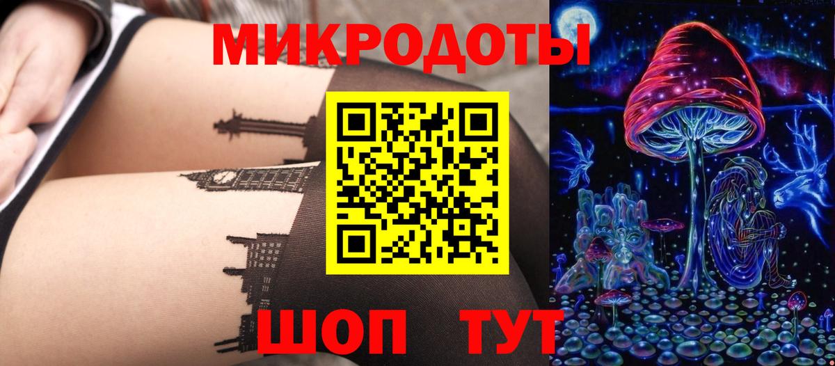 Луга  Псилоцибиновые грибы Psilocybe  Вход с VPN 