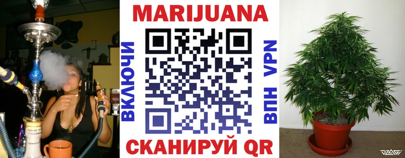 Канабис сатива  MEGA маркетплейс  Луга  где найти  