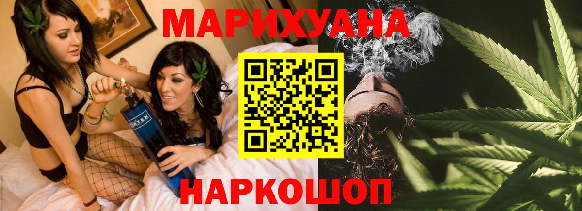Конопля сатива Луга